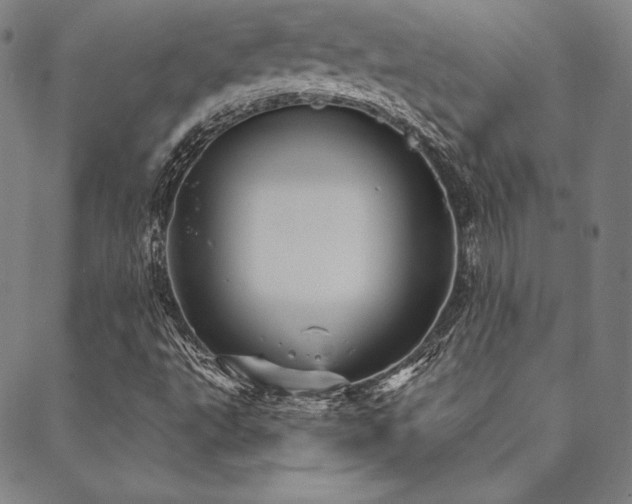 X0000088871495200706081202