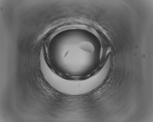 X0000088871496200706081202