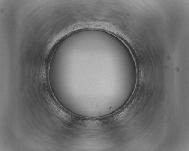 X0000088871498200706081202