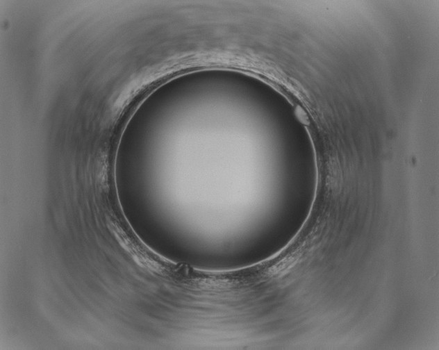 X0000088871499200706081202