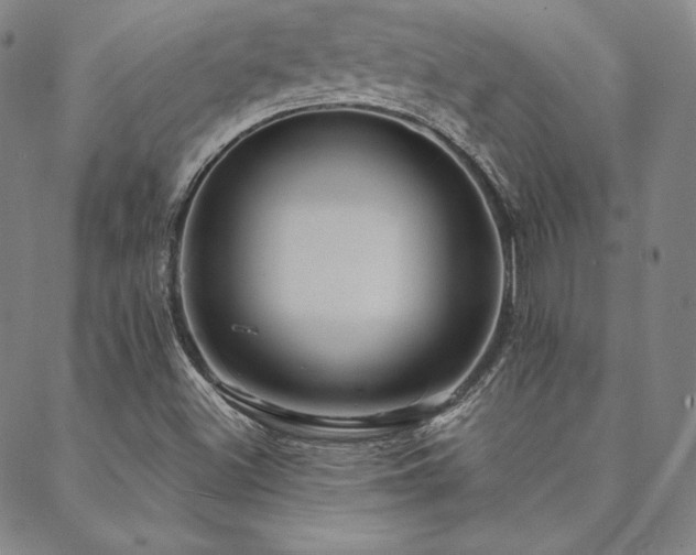 X0000088871500200706081202