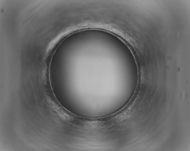 X0000088871502200706081202