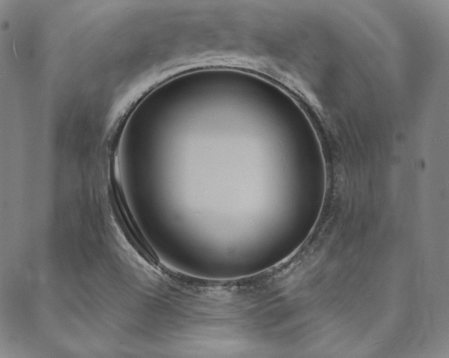 X0000088871504200706081202