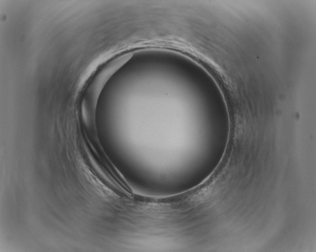 X0000088871506200706081202