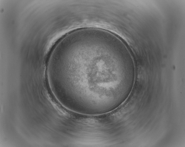 X0000088871507200706081202