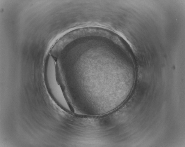 X0000088871508200706081202