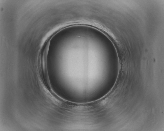 X0000088871510200706081203