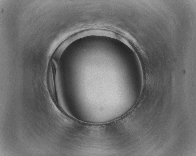 X0000088871512200706081203