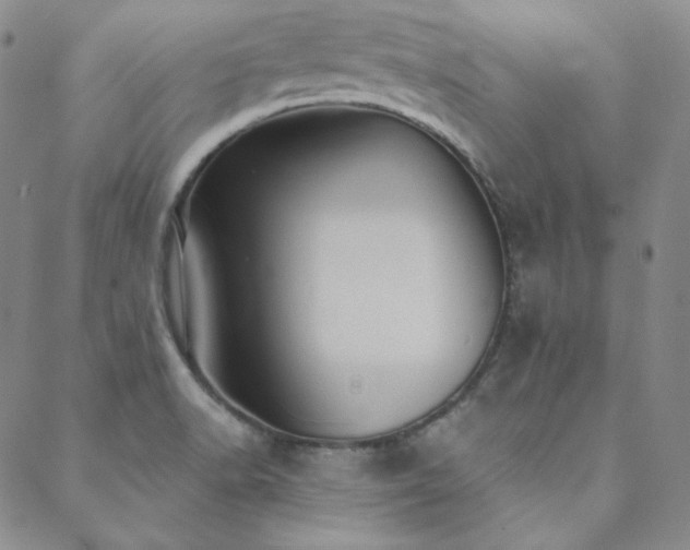 X0000088871518200706081203