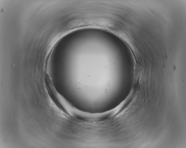X0000088871532200706081203