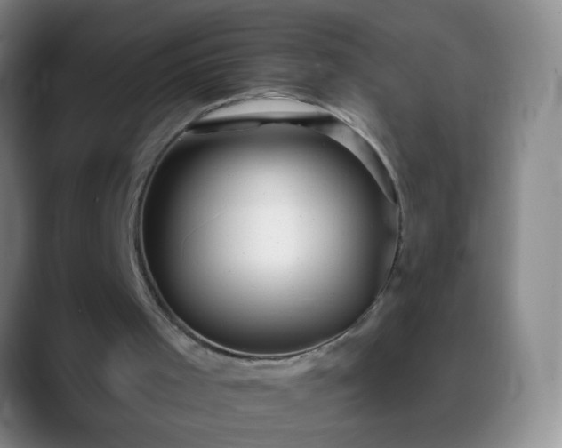 X0000088870001200706151802