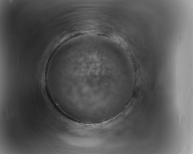 X0000088870002200706151802