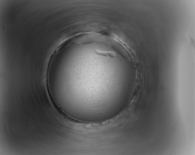 X0000088870003200706151802