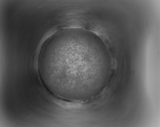 X0000088870004200706151802
