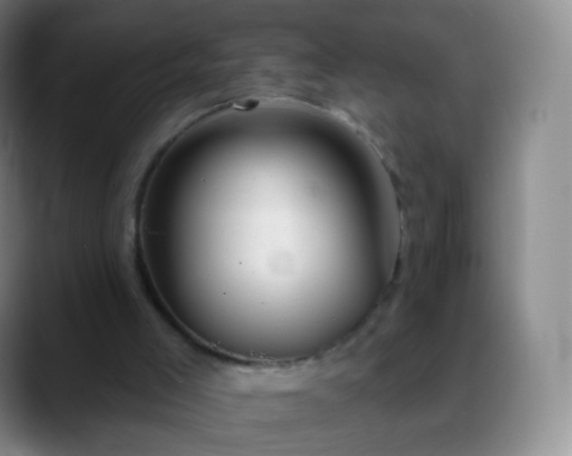 X0000088870005200706151802