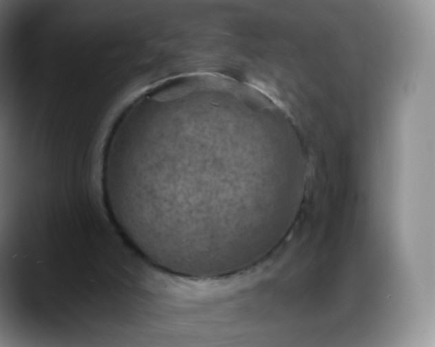 X0000088870006200706151802
