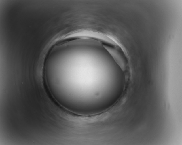 X0000088870007200706151802