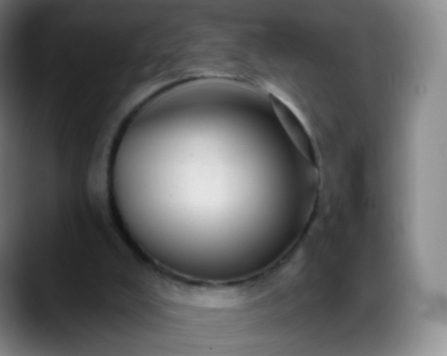 X0000088870008200706151802