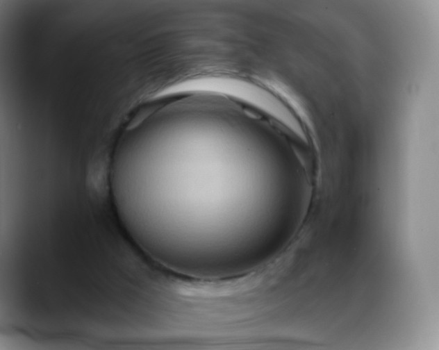 X0000088870009200706151802