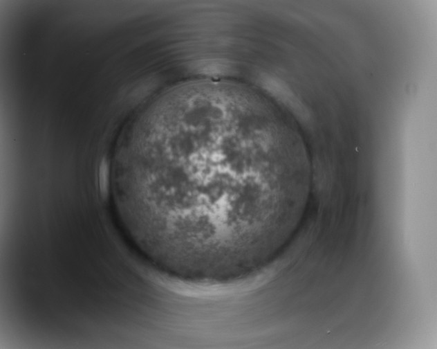 X0000088870014200706151801