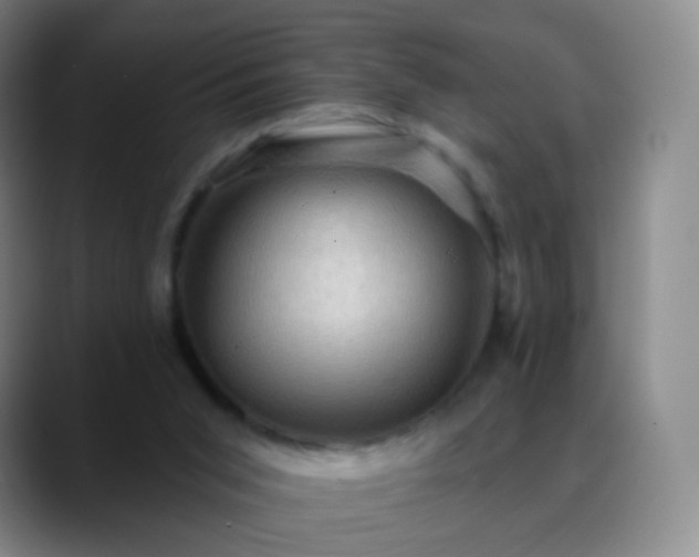 X0000088870015200706151801