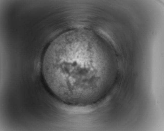 X0000088870016200706151801