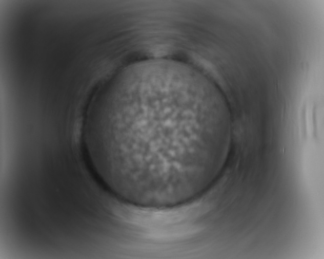 X0000088870018200706151801