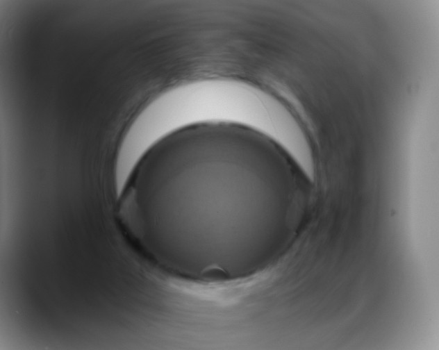 X0000088870019200706151801