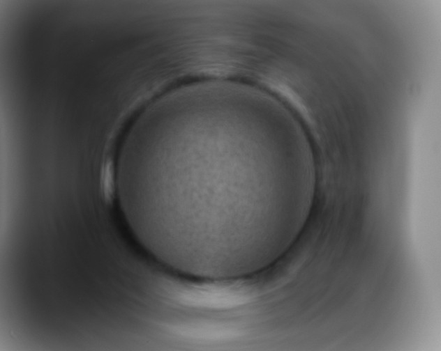 X0000088870020200706151801