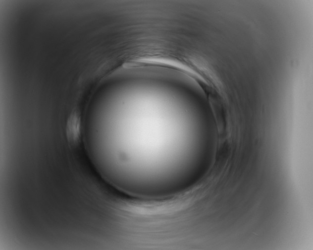 X0000088870021200706151801
