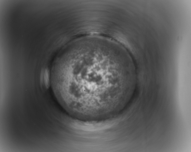 X0000088870022200706151801