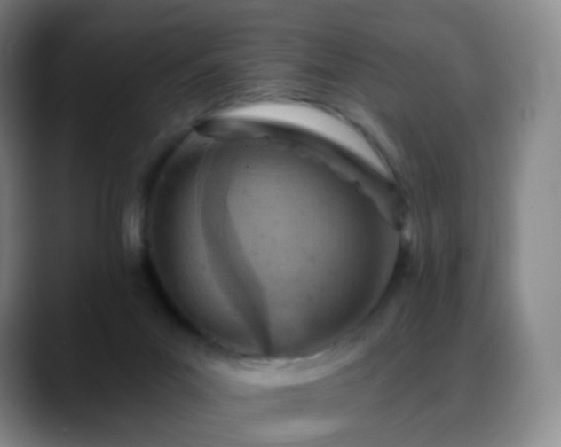 X0000088870023200706151801