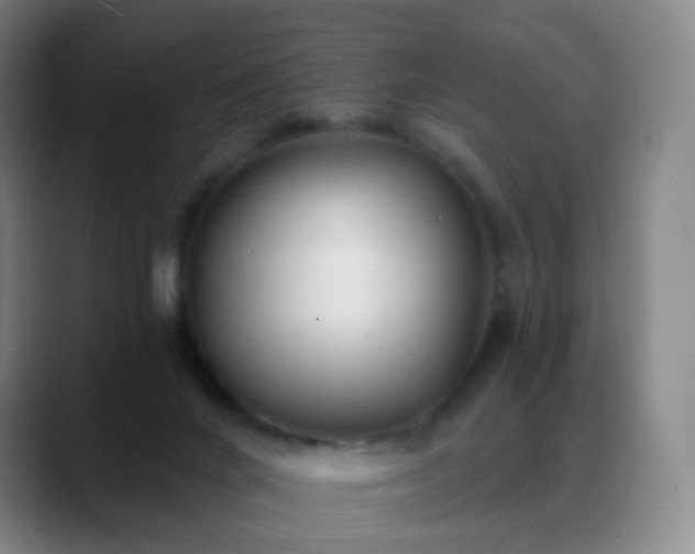 X0000088870024200706151801