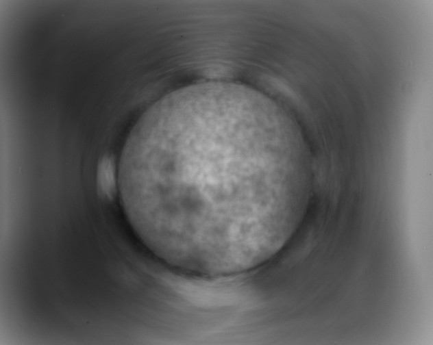 X0000088870028200706151801