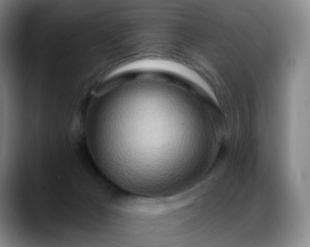 X0000088870029200706151801