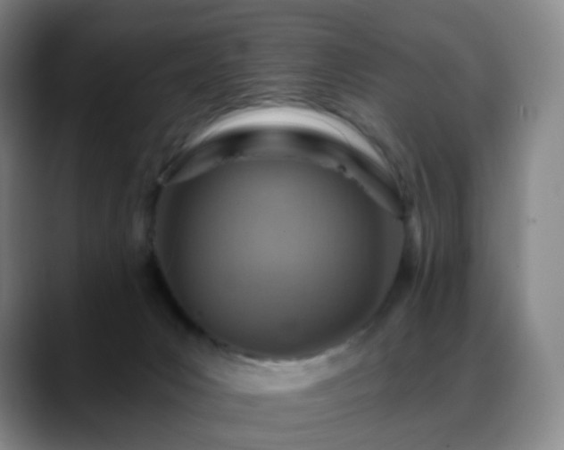 X0000088870031200706151801