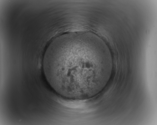 X0000088870032200706151801