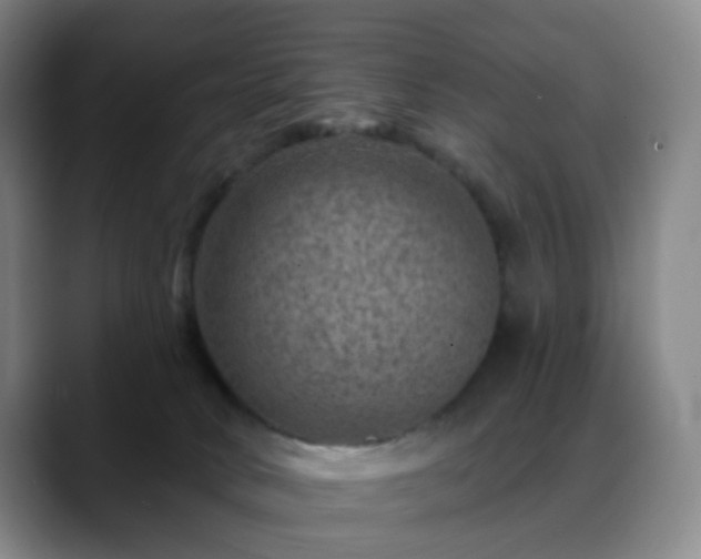 X0000088870034200706151801