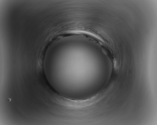X0000088870035200706151801