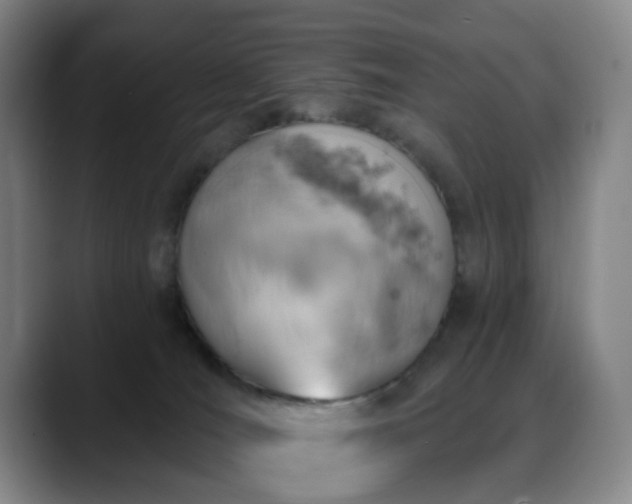 X0000088870036200706151801
