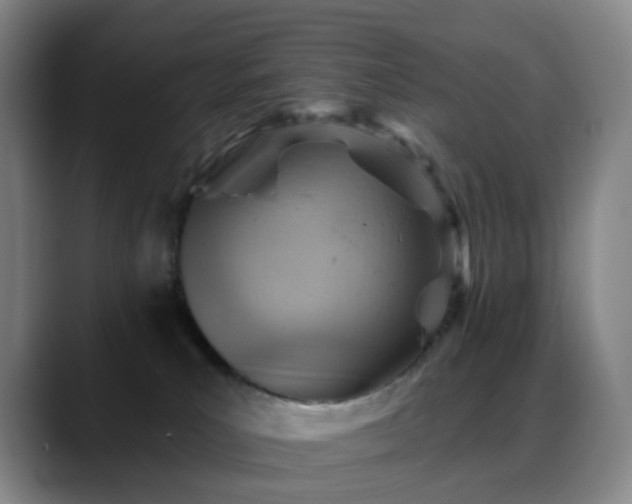 X0000088870039200706151801