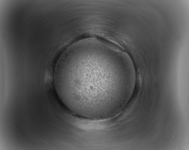 X0000088870040200706151801