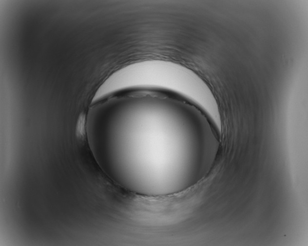 X0000088870041200706151801