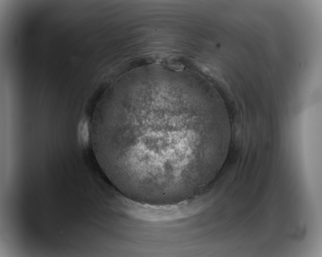 X0000088870042200706151801