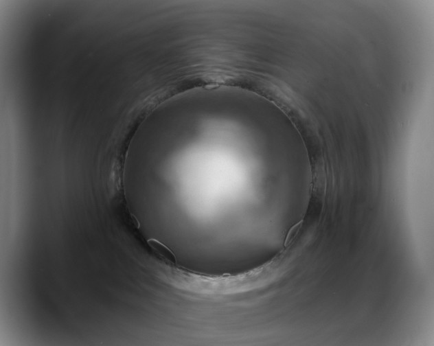 X0000088870043200706151801