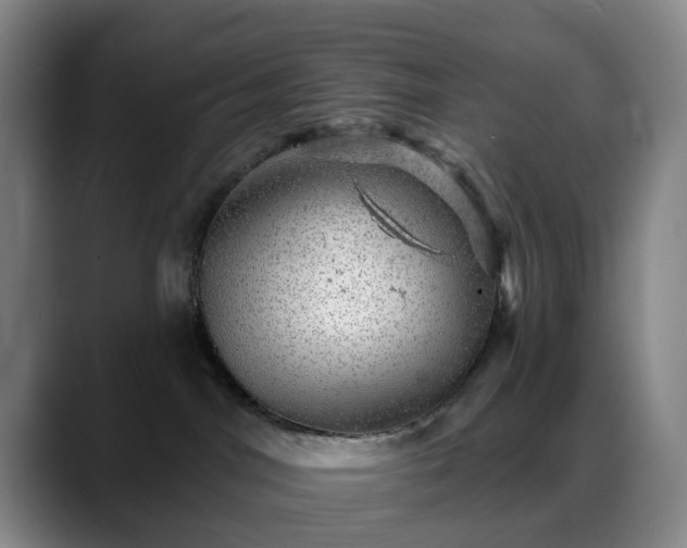 X0000088870044200706151801