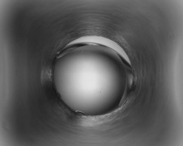 X0000088870045200706151801
