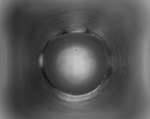 X0000088870047200706151801