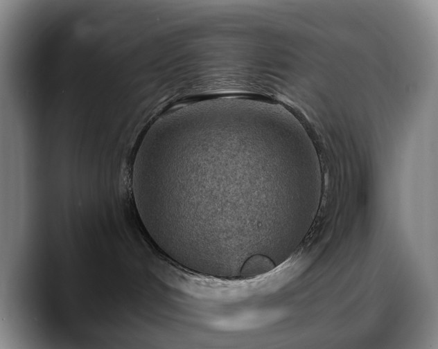 X0000088870048200706151801