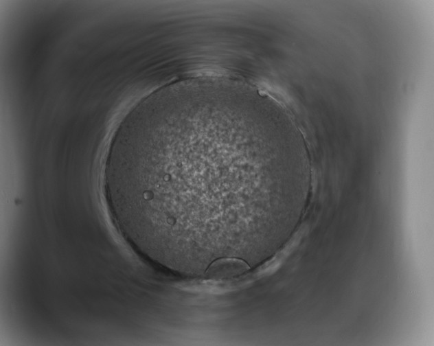 X0000088870049200706151801